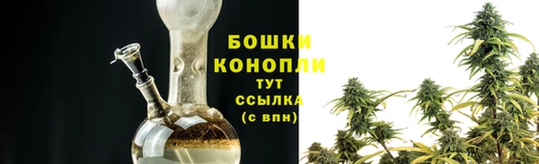 соль ск Верхний Тагил