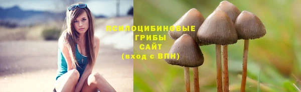 соль ск Верхний Тагил