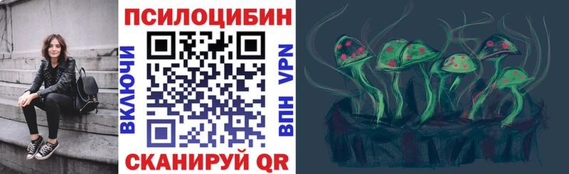 наркошоп  Свободный  Галлюциногенные грибы прущие грибы 